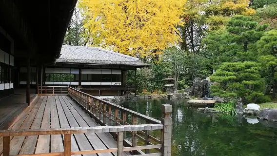 Kyoto: Nishi Honganji, Higashi Honganji, and Ginkakuji Tour