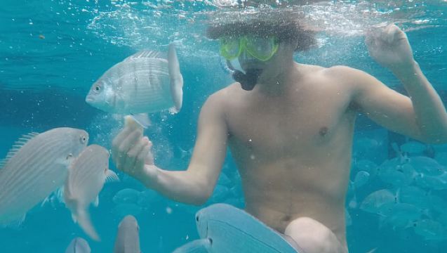 Fuerteventura: Kapal Pesiar Katamaran ke Pulau Lobos dengan Makan Siang