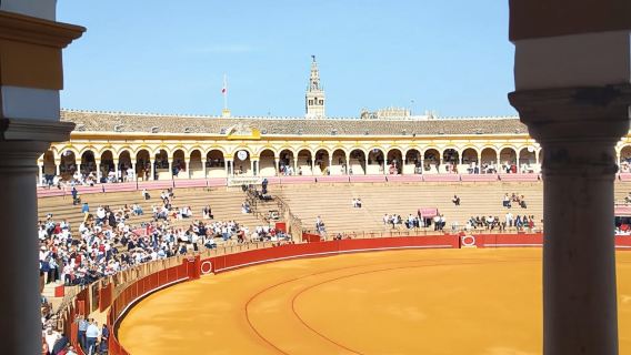 Sevilla: recorrido por la Plaza de Toros y el Barrio Santa Cruz