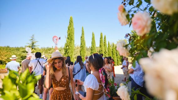 Florence: Chianti Wineries Tour with Wine Tasting