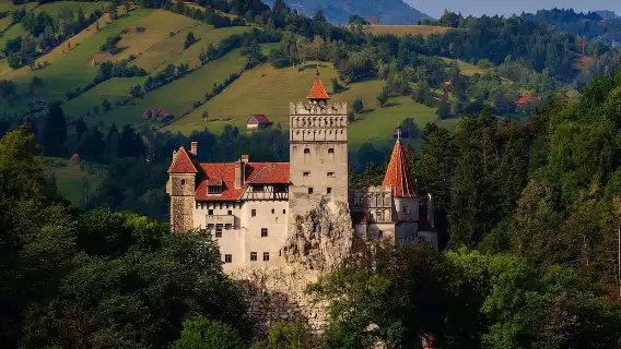 From Brașov: Romanian Castle Tour with Bran and Peles