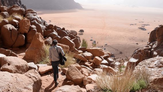 Wadi Rum: Chọn Vé xe Jeep từ 2 đến 9 giờ, Hướng dẫn viên & Tùy chọn bữa ăn