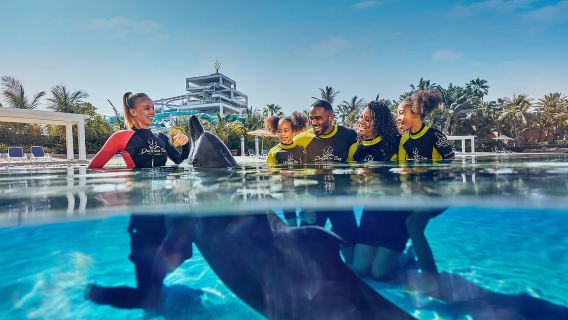 Dubai: Tiket Dolphin Encounter & Aquaventure Waterpark