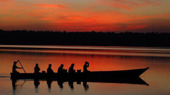 Da Madre de Dios||Trekking notturno nella giungla amazzonica