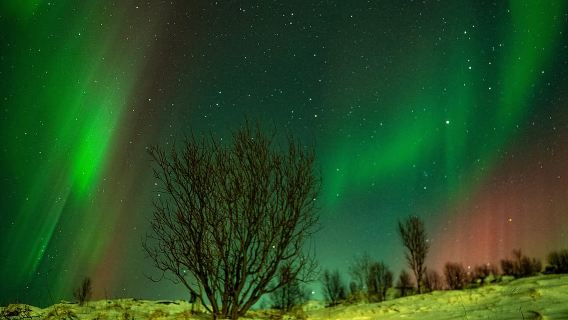 Tromsø Avventurosa Aurora Boreale in Piccoli Gruppi