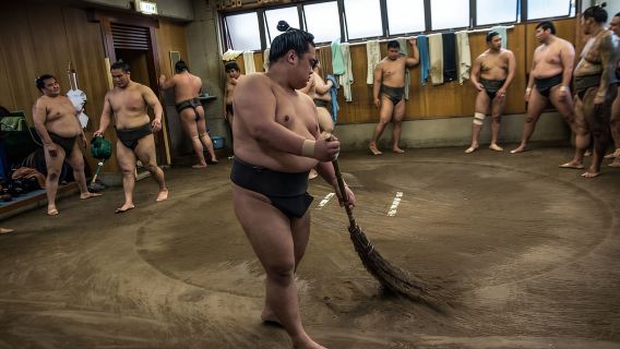 Tokyo: Sumo Morning Practice Viewing Tour