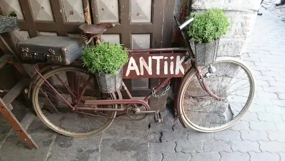 Tallinn: Medieval Walking Tour