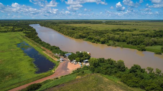 Darwin: Chuyến du ngoạn ngắm cá sấu nhảy ngoạn mục trên sông Adelaide