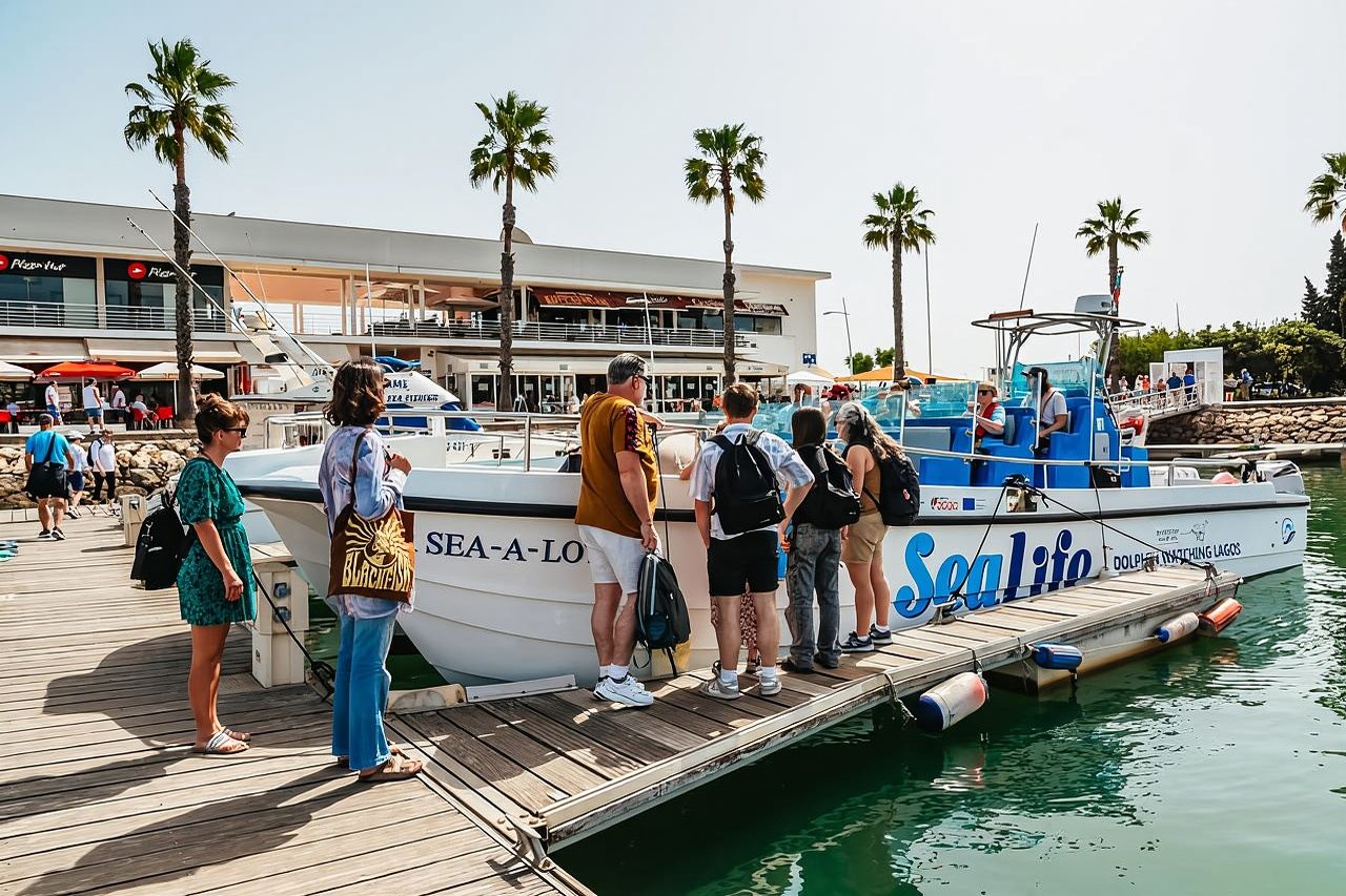 Lagos: Dolphin Watch Tour with Professional Marine Biologist