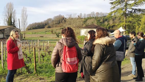 Vanuit Bordeaux: halve dagtour naar Saint-Émilion met wijnproeverij