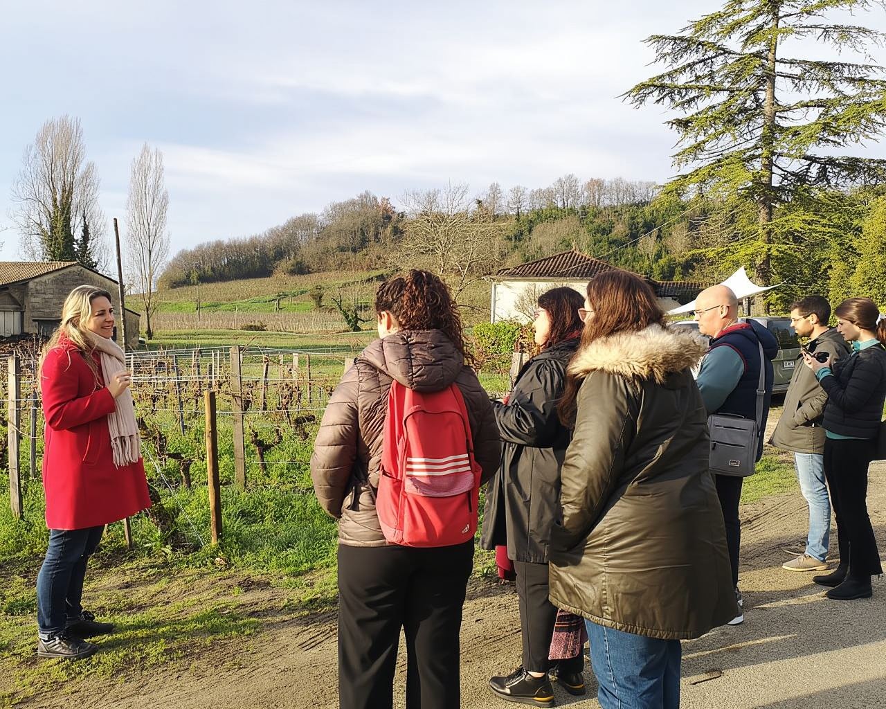 From Bordeaux: Saint-Émilion Half-Day Tour with Wine Tasting