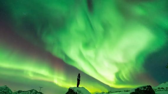 [Tour per l'osservazione dell'aurora boreale a Tromso] 6-7h | Guida professionale + fotografia + attrezzatura per il freddo