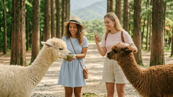 Nami Island & Alpaca World with Gangchon Rail Bike Day Tour