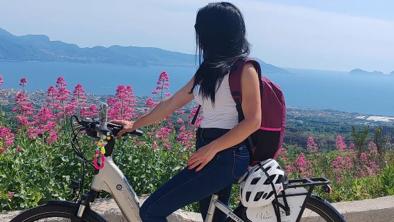 Napoli: Sewa e-sepeda di Gunung Vesuvius dengan akses ke kawah