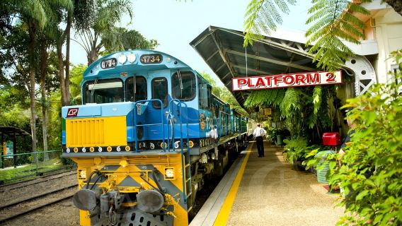 【團送機】凱恩斯庫蘭達雨林+熱帶雨林自然公園一日遊