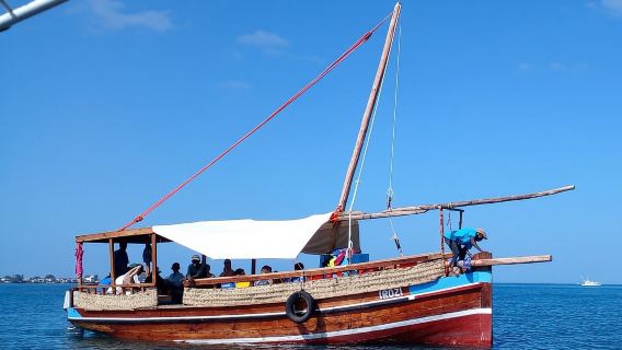 Wasini Dolphin Spotting Tour