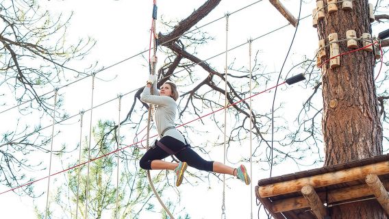 Flagstaff Extreme Adventure Course-Adult Course