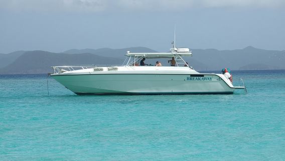Snorkel St. John Tour from Sapphire and Margaritaville
