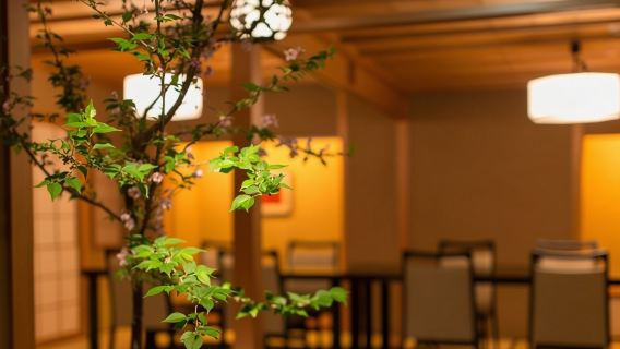 오사카 미슐랭 레스토랑 아지키초 분부안