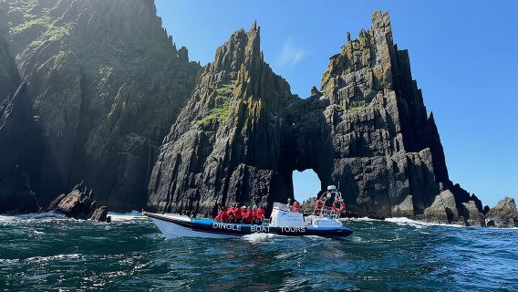 Dingle Boat Tours Wildlife RIB Adventure