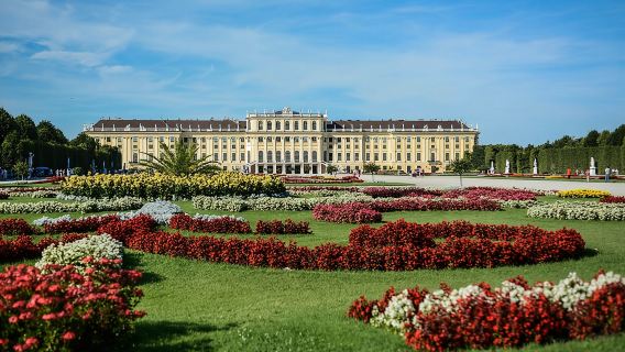 Viena: Visita guiada sin colas al Palacio y Jardines de Schönbrunn