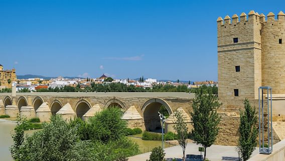 Tour xe đạp có hướng dẫn viên ở Cordoba