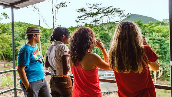 Mauritius Ebony Forest and bird watching tour