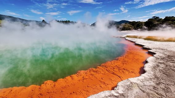 Wai-O-Tapu Geothermal Wonderland and Rotorua Day Tour from Auckland