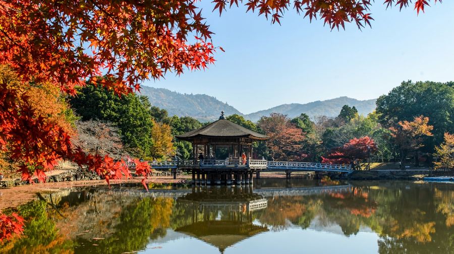 日本京都奈良公園清水寺二三年阪伏見稻荷大社東大寺一日遊