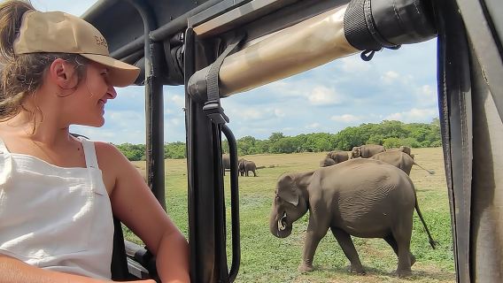 Minneriya National Park Elephant Jeep Safari Private Tour