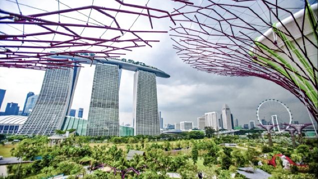 新加坡藝術科學博物館+魚尾獅公園可定制【中文專車-舒適純淨】