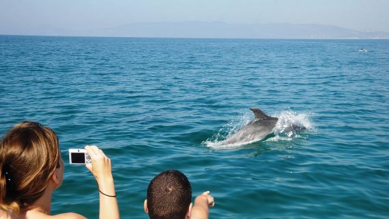 Dolphin Watching + 2 Islands Tour - From Faro