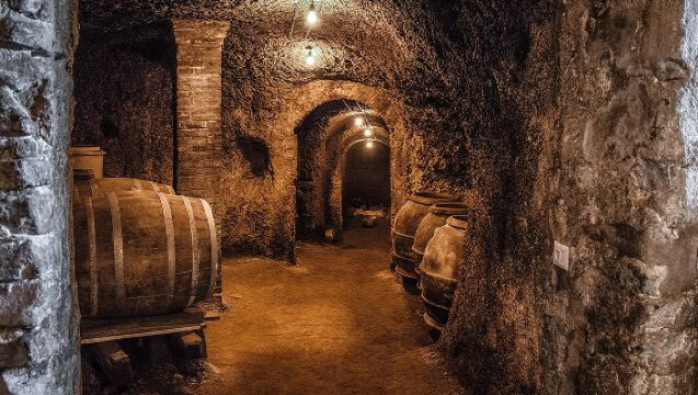 フラスカティでのクラシック半日ワインツアー（ランチ付き）