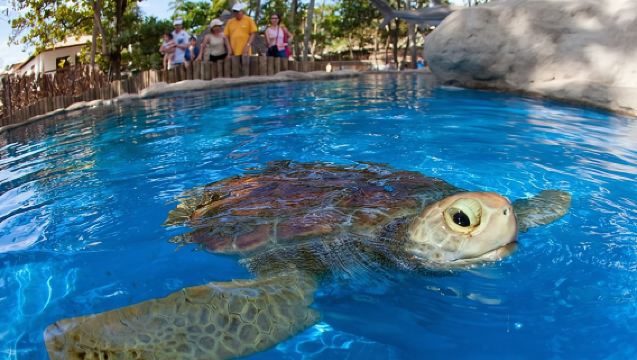 Floripa Total - Salida desde Florianópolis con Itaguasul Turismo