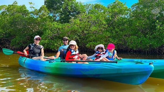 Clear/Standard Kayak Self Guided Island EcoTour Bonita Springs! 