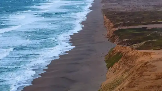 繆爾森林國家紀念地+斯廷森海灘+point reyes 海岸