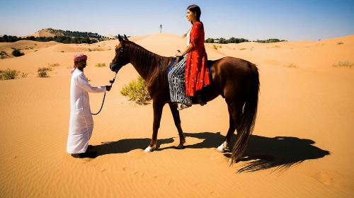 Abu Dhabi Horse Riding Experience 5