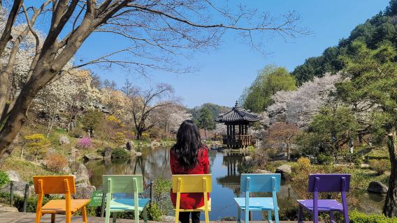 Gyeonggi Province|Nami Island x Petite France x Italian Village x The Garden of Morning Calm