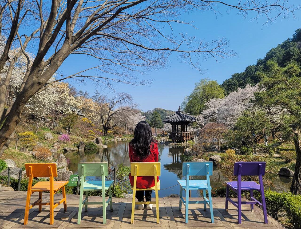 Gyeonggi Province|Nami Island x Petite France x Italian Village x The Garden of Morning Calm