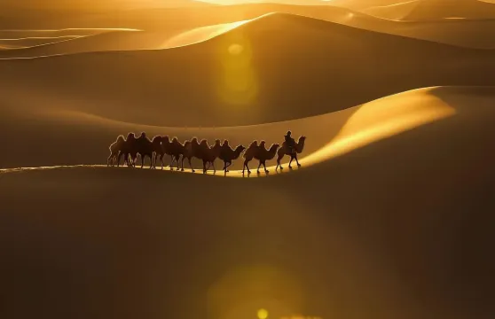 新疆吐魯番+火焰山景區+庫木塔格沙漠一日遊【精品包車遊】