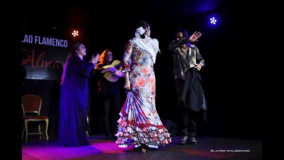 Mallorca: Flamenco Show at Tablao Flamenco Alma with Paella