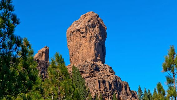 Gran Canaria: Ganztägige VIP-Tour mit dem Bus
