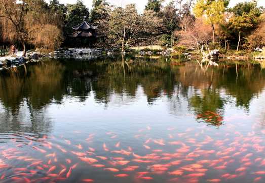 Half-day tour of Hangzhou's highlights: West Lake, Leifeng Pagoda, and Viewing Fish at Flower Harbor (enjoying the panoramic view of West Lake's...