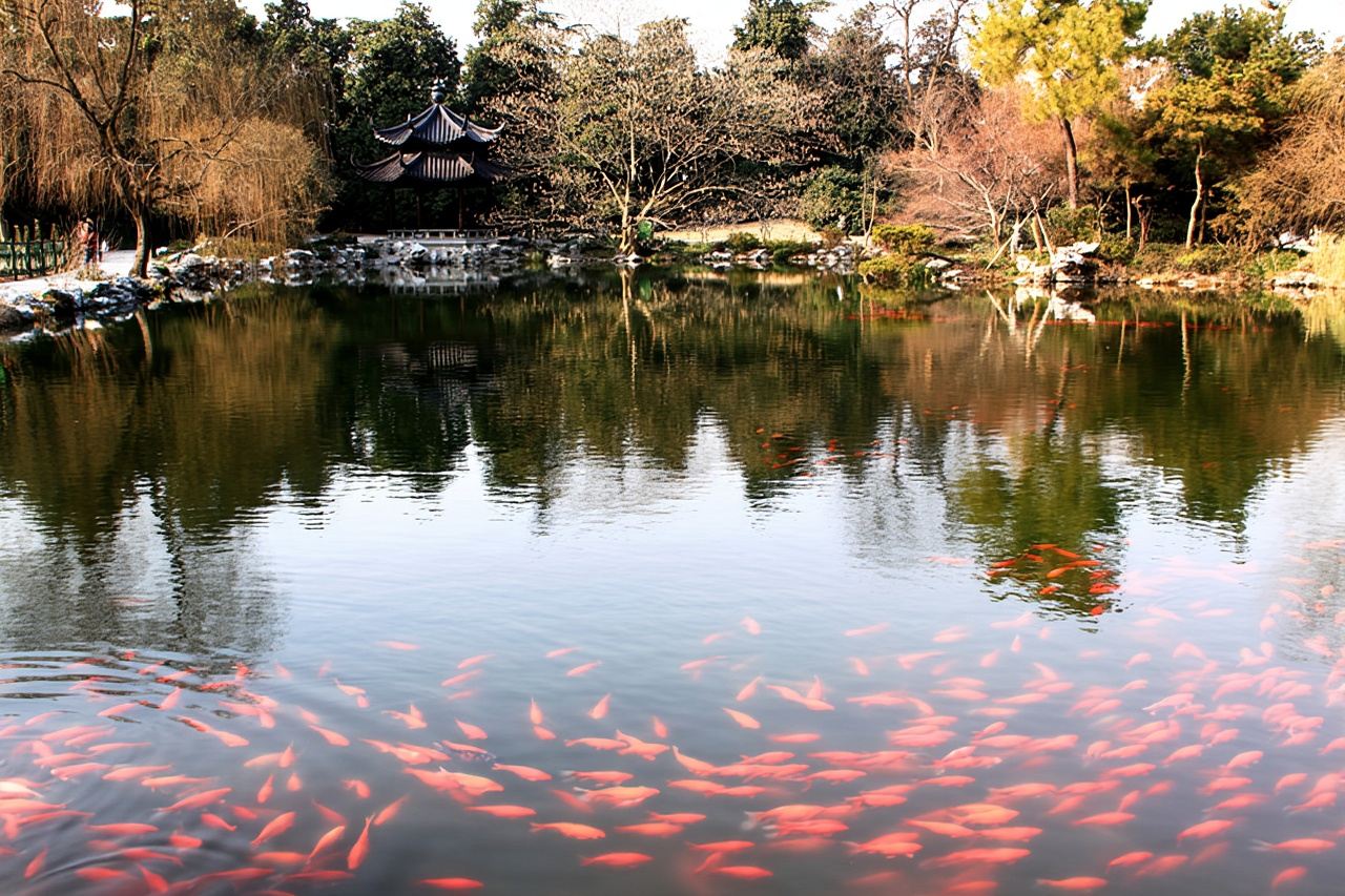 Half-day tour of Hangzhou highlights: West Lake, Leifeng Pagoda, and Viewing Fish at Flower Harbor (Chinese-speaking staff)