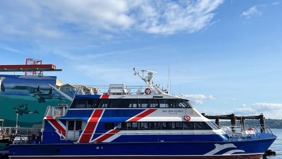 Seattle: Halbtägige Bootsfahrt zur Wildtier- und Walbeobachtung