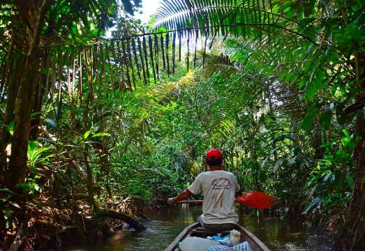 From Iquitos: Sail on the Amazon River |Full Day|