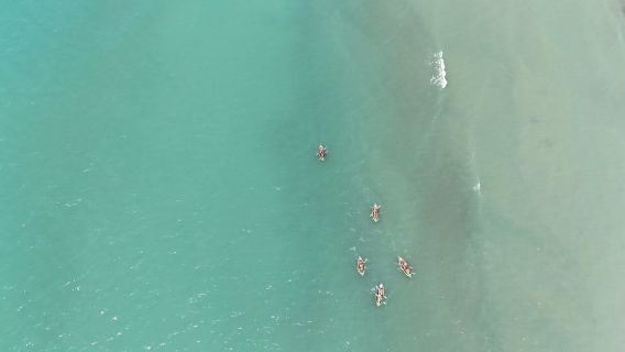 Kayak Adventure from Vlorë: Vjosa River to the Adriatic Sea