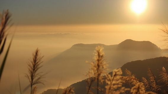 台灣阿里山風景區日遊【欣賞日出、小火車】（三＊天兩＊晚）