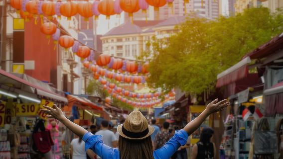 シンガポール・フライヤー+マーライオン公園+カンポン・グラムストリート ワンデーツアー【85925】