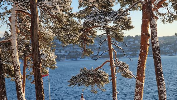 Oslo: Malmøya most beautiful Island Guided Hike-Waffle&Drink